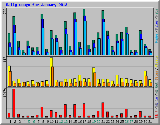 Daily usage for January 2013