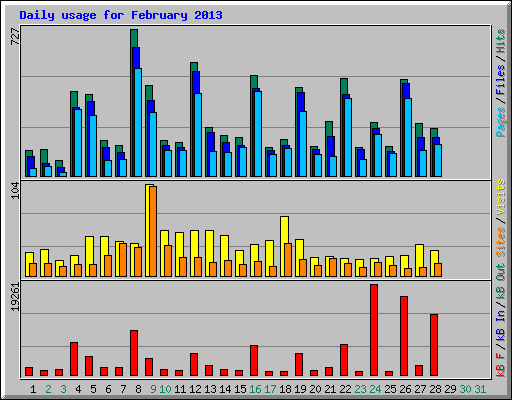 Daily usage for February 2013