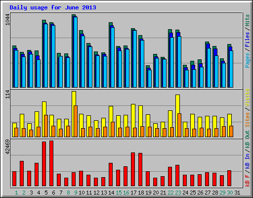 Daily usage for June 2013