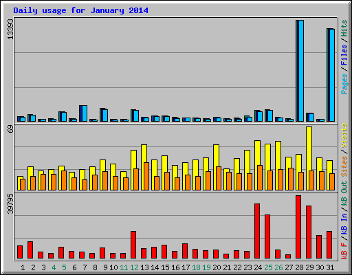 Daily usage for January 2014