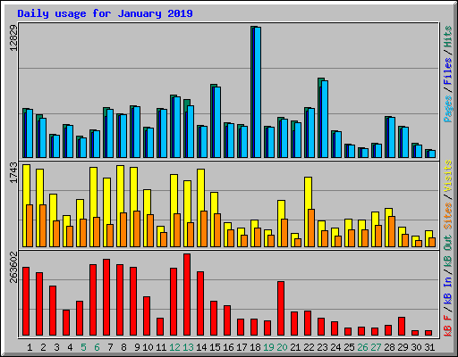 Daily usage for January 2019