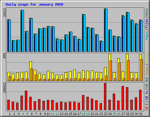 Daily usage for January 2020