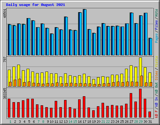 Daily usage for August 2021