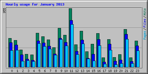 Hourly usage for January 2013