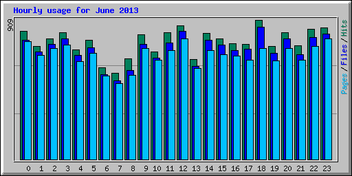 Hourly usage for June 2013