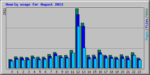 Hourly usage for August 2013