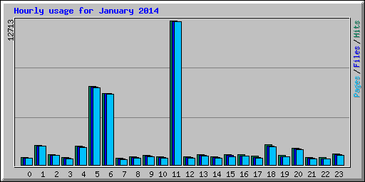 Hourly usage for January 2014