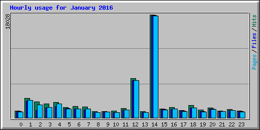 Hourly usage for January 2016