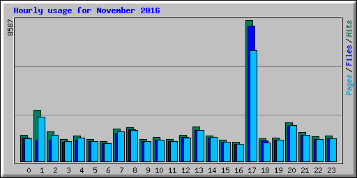 Hourly usage for November 2016