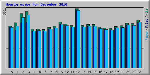 Hourly usage for December 2016