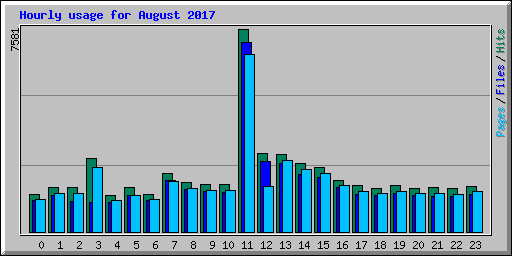 Hourly usage for August 2017