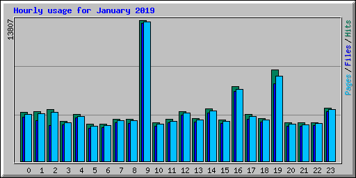 Hourly usage for January 2019