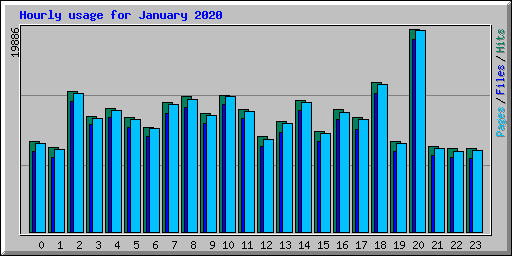 Hourly usage for January 2020