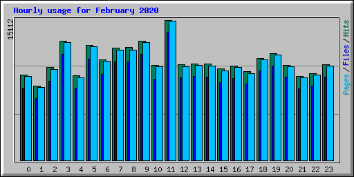 Hourly usage for February 2020