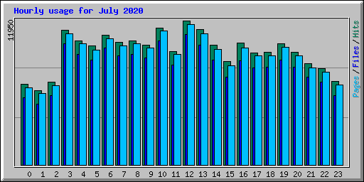 Hourly usage for July 2020