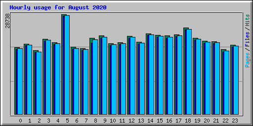 Hourly usage for August 2020