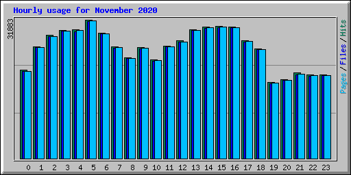 Hourly usage for November 2020