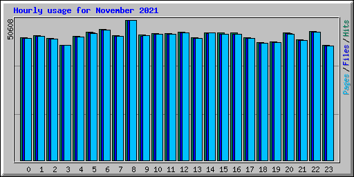 Hourly usage for November 2021