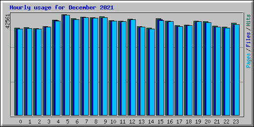 Hourly usage for December 2021