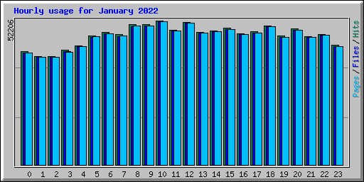 Hourly usage for January 2022